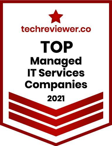 echreviewer Top Managed IT Services Company 2021 T